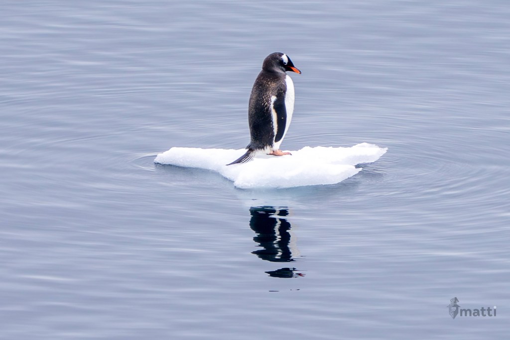 UWC Day 034 – Gerlache Strait and Paradise Bay, Antarctica – Mind.&nbsp;Blown.