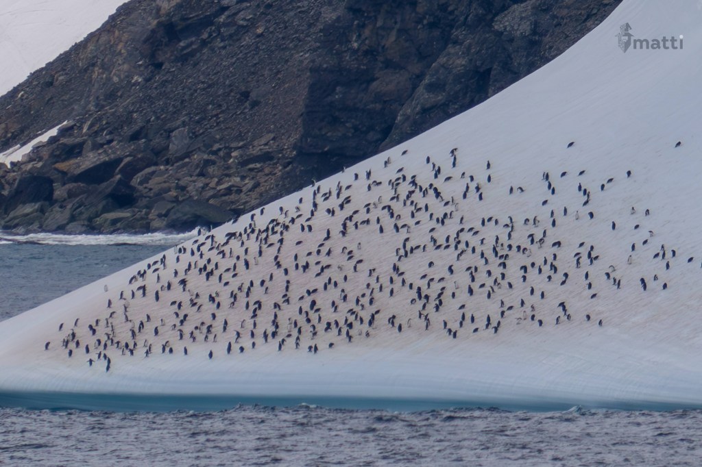 UWC Day 035 – Elephant Island, Antarctica – Enjoying the Big and&nbsp;Small