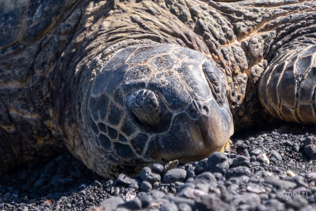 UWC Day 070 – Hilo, Hawaii – Rejoining the Ship and Driving the Southern Coast of the Big&nbsp;Island