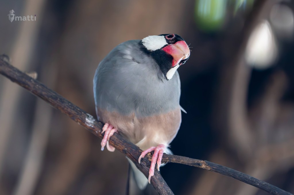 UWC Day 071 – Kona, Hawaii – Chill Day in the City with the&nbsp;Family