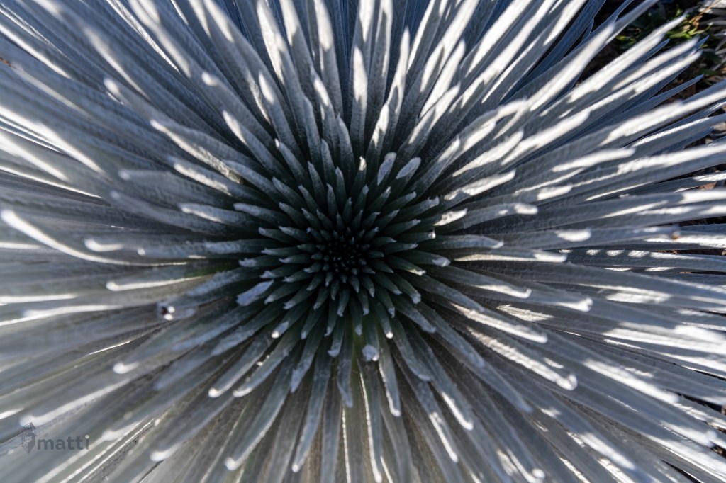 UWC Day 064 – Maui, Hawaii – ʻĪao Valley and Haleakala Summit for Sunset and&nbsp;Stargazing