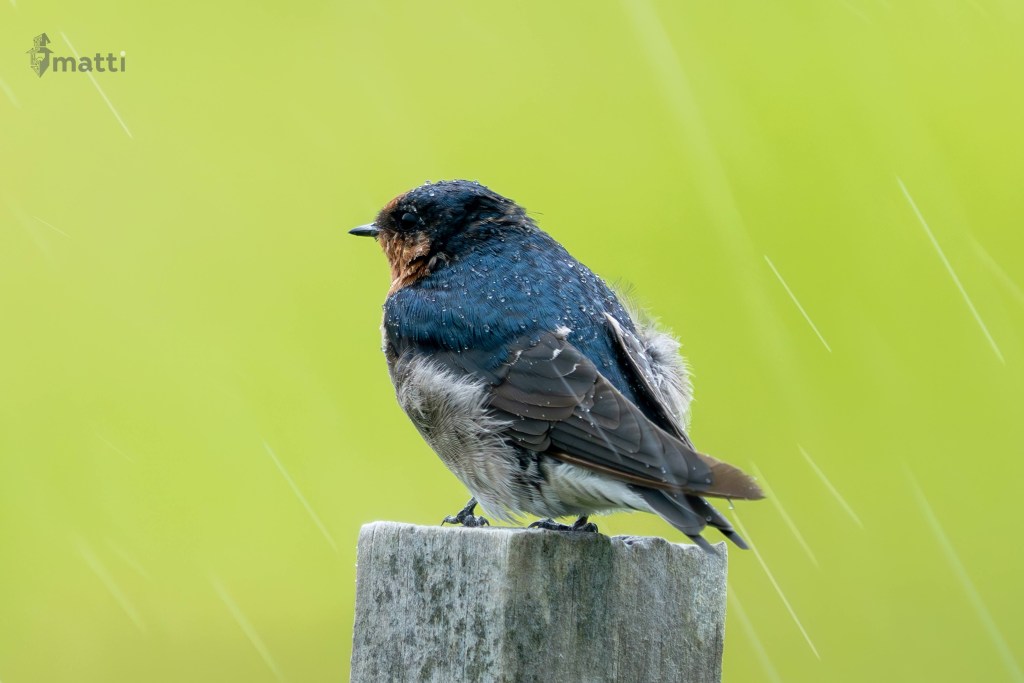 UWC Day 085 – Auckland, New Zealand – Driving through&nbsp;Paradise