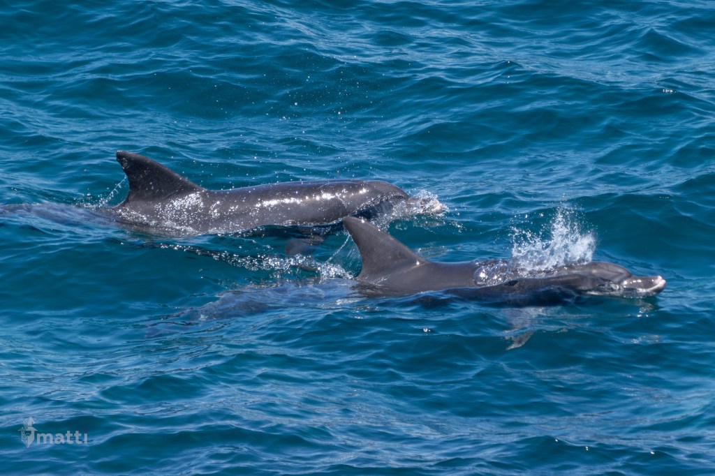 UWC Day 089 – Sydney, Australia – Down the Kiama Coast