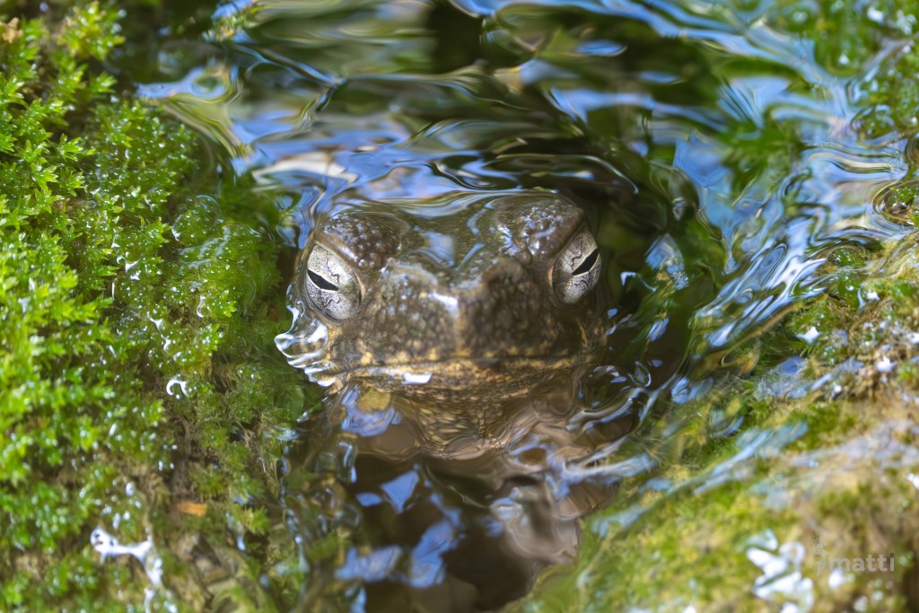 UWC Day 100 – Sumatra, Indonesia – Last Day at the&nbsp;Guesthouse