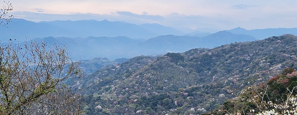 UWC Day 118 – Tokushima, Japan – Traveling to Japan for a Side&nbsp;Trip