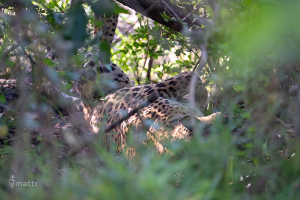 UWC Day 141 – Hambantota, Sri Lanka – Awesome Safari in Yala National&nbsp;Park