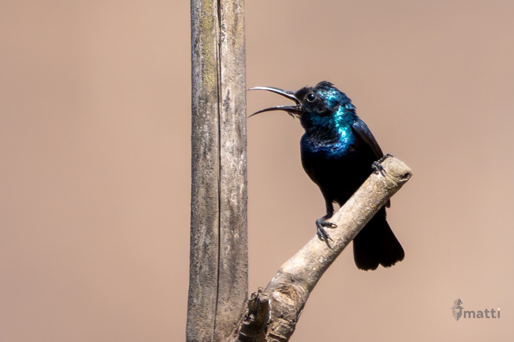 UWC Day 146 – Mumbai, India – Heading Out of the City to Lonavala Hill&nbsp;Station