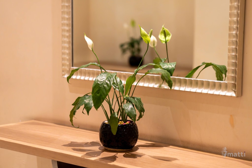 UWC Day 145 – Delhi, India – Travel Day and Rejoining the&nbsp;Ship