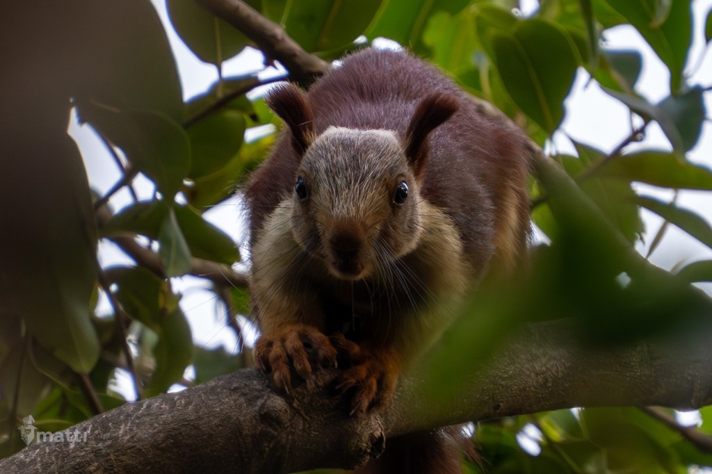 UWC Day 147 – Mumbai, India – Half Day in Lonavala Before Rejoining&nbsp;Ship