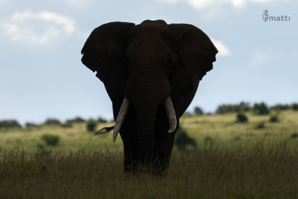 UWC 2nd Half Update and Post Cruise&nbsp;Reflections